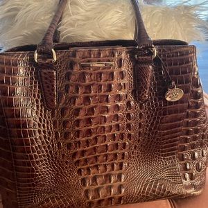 Large Brown Pecan Brahmin